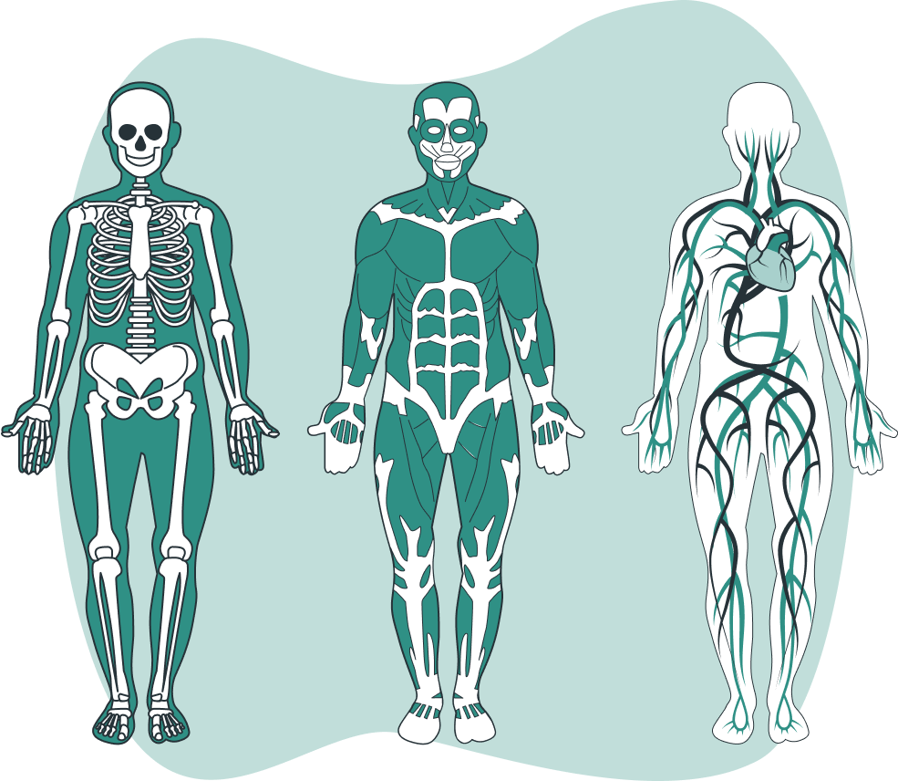 Biological Age Assessment